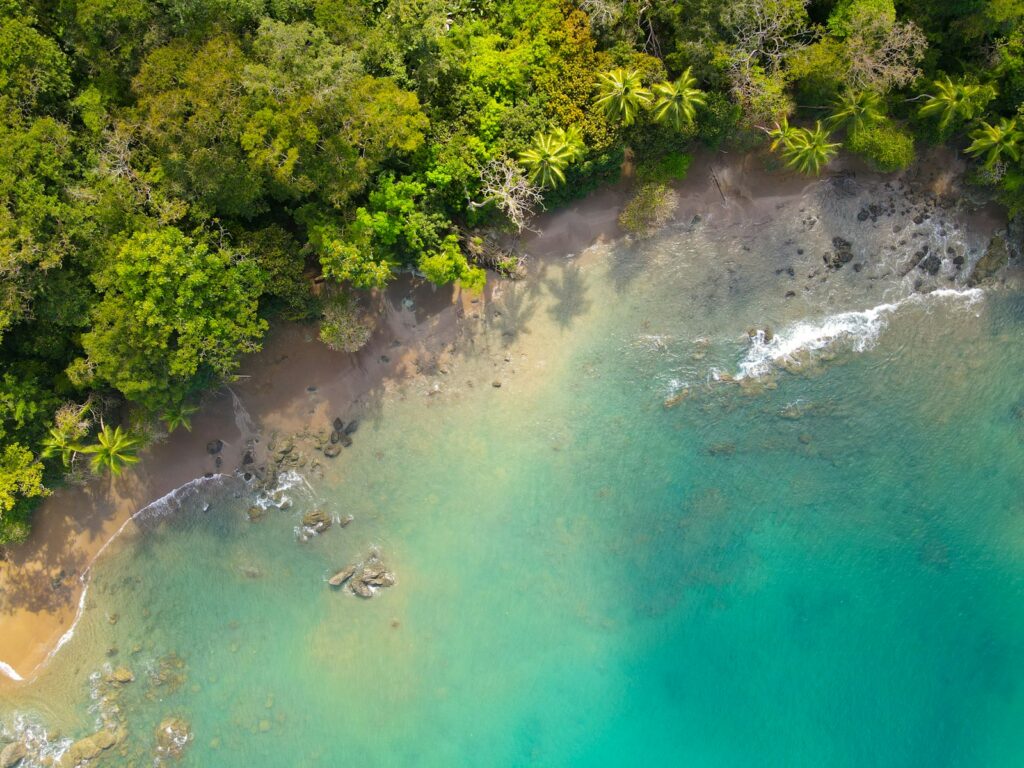 An aerial view of a body of water surrounded by trees